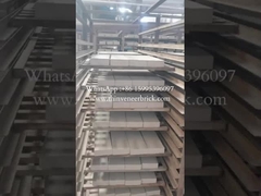 ठोस निर्माण मिट्टी का तार कट ईंट / मिट्टी की ईंट निर्माण के लिए निर्माण दीवार